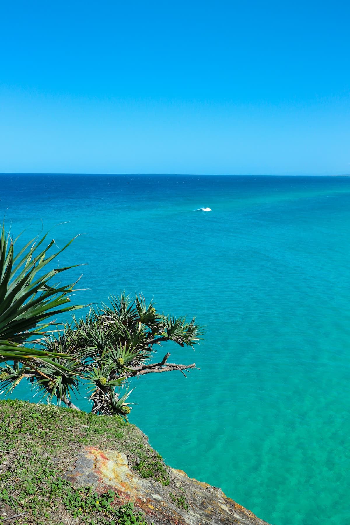 beach and ocean