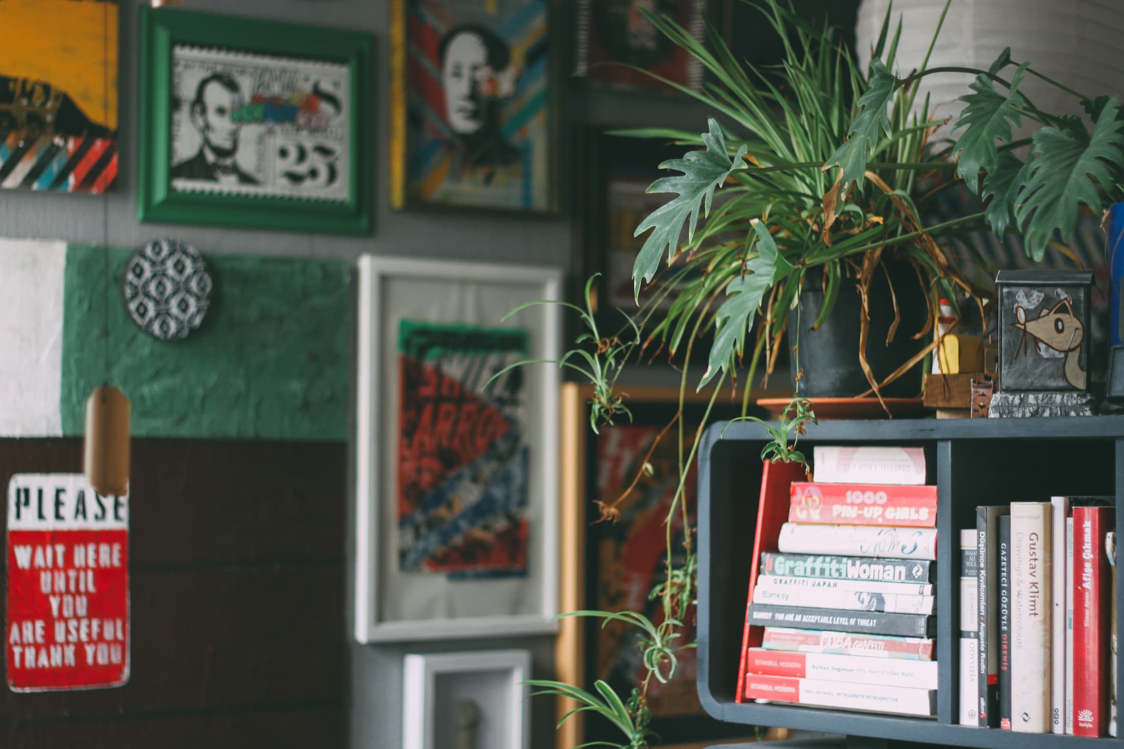 cafe with books